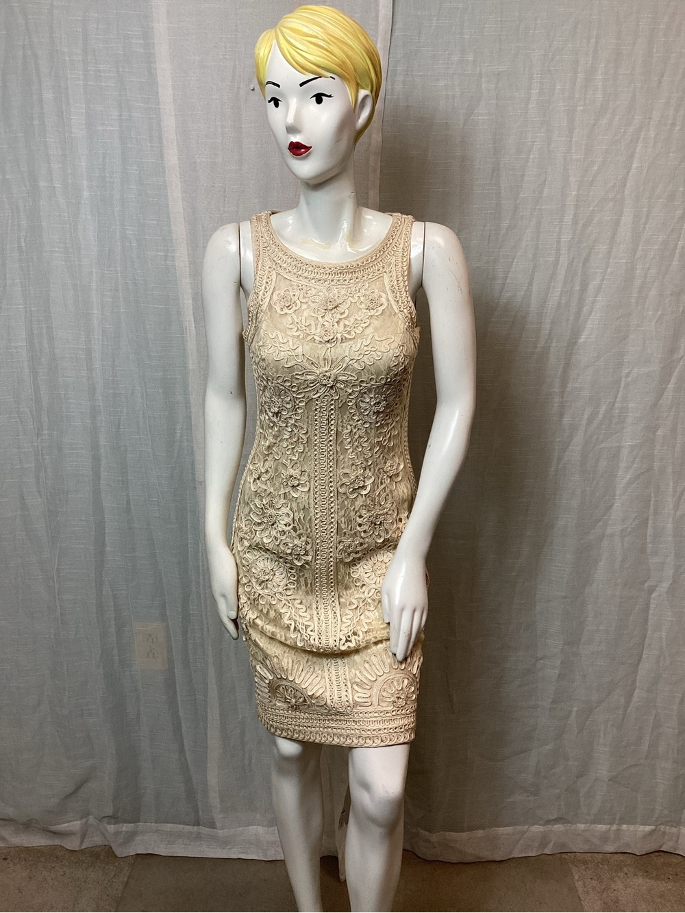 Sue Wong Nocturne Embroidered Lace Sheath dress; Size: 4